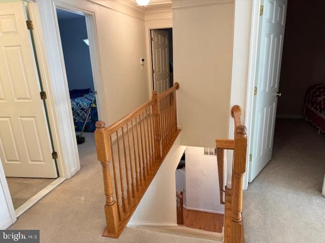 12 Heatherbrook Lane photo 34