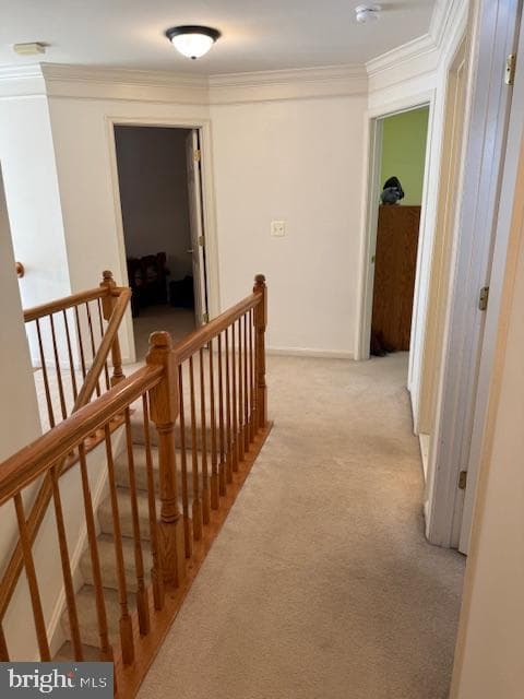 12 Heatherbrook Lane photo 35
