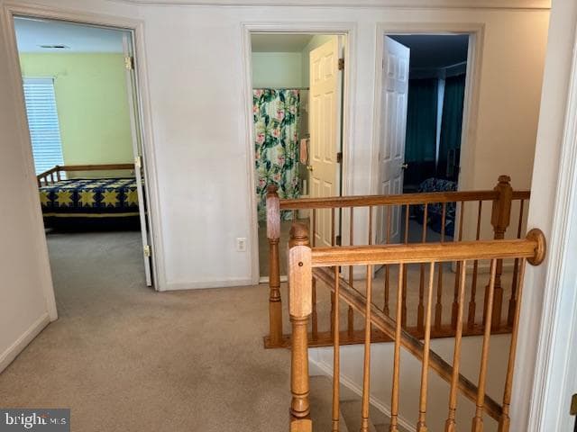 12 Heatherbrook Lane photo 36