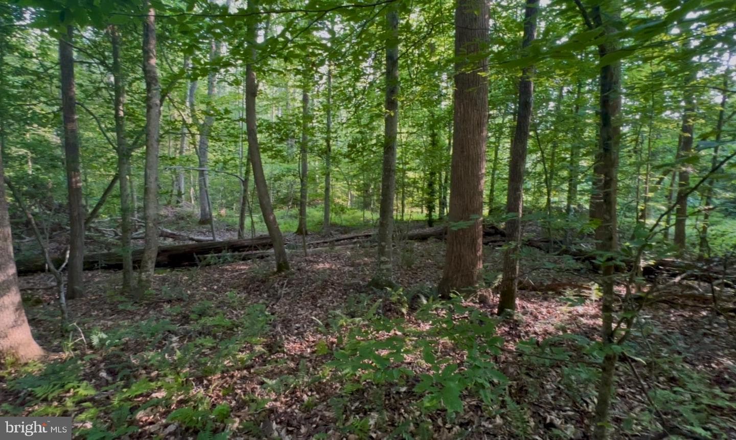 64 Panners Lane photo 24