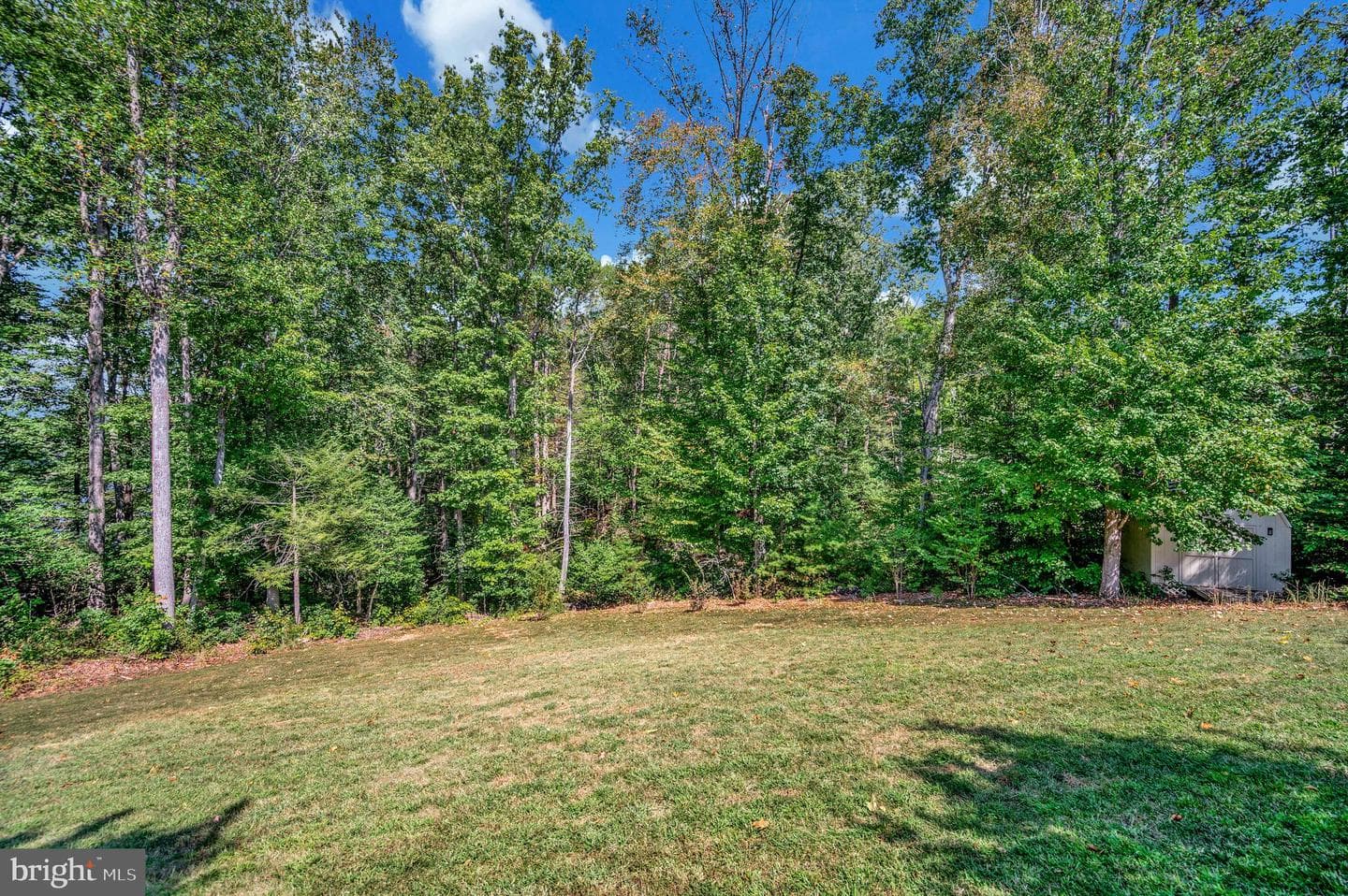 20 Genevieve Court photo 78