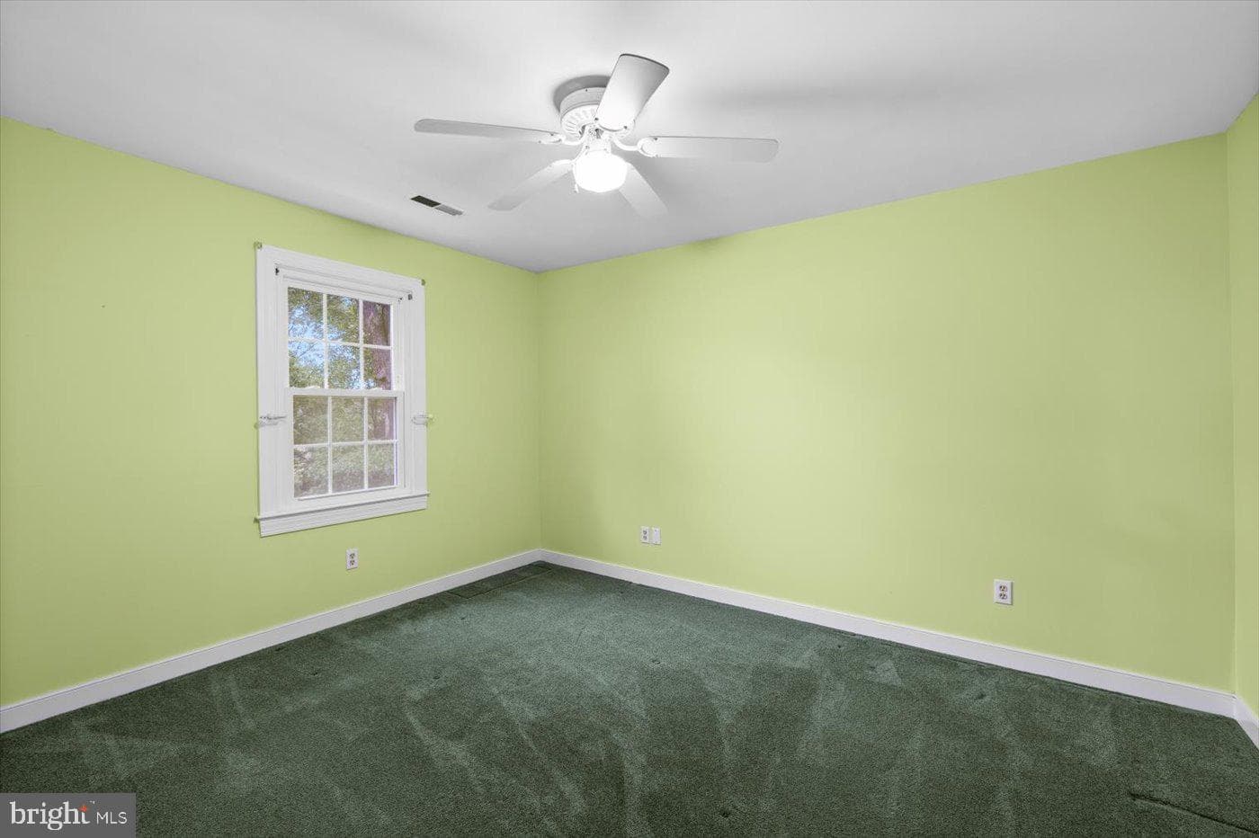 101 Cleremont Drive photo 35