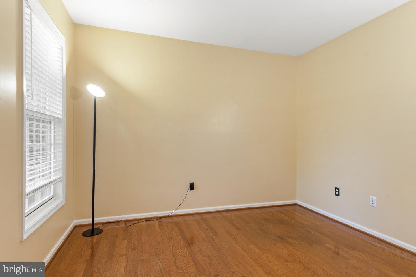 57 Boxwood Drive photo 16