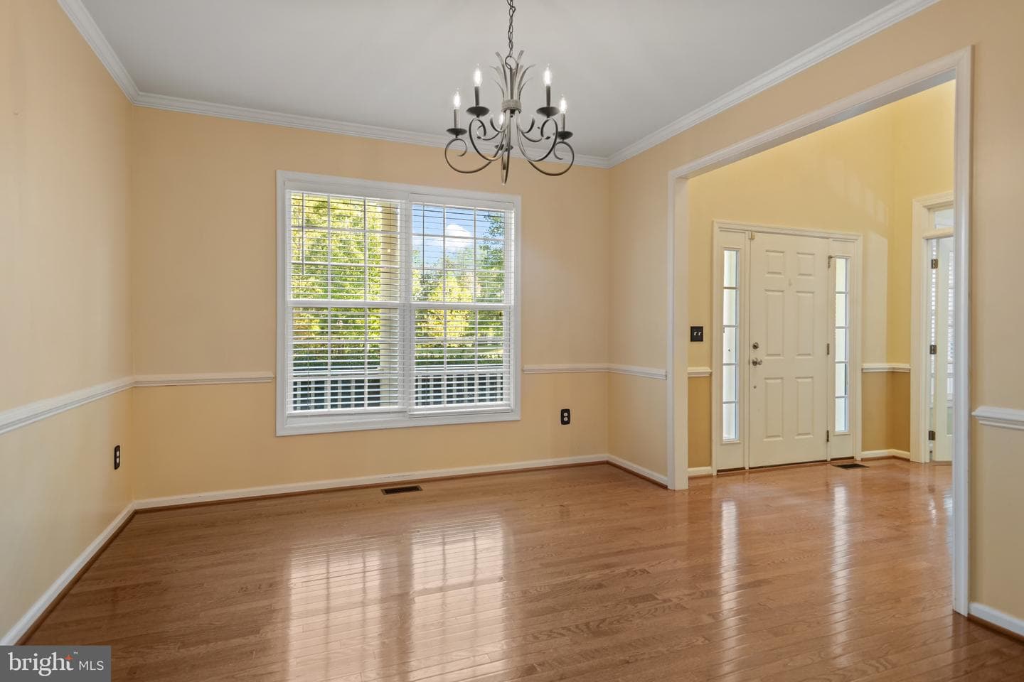 57 Boxwood Drive photo 17