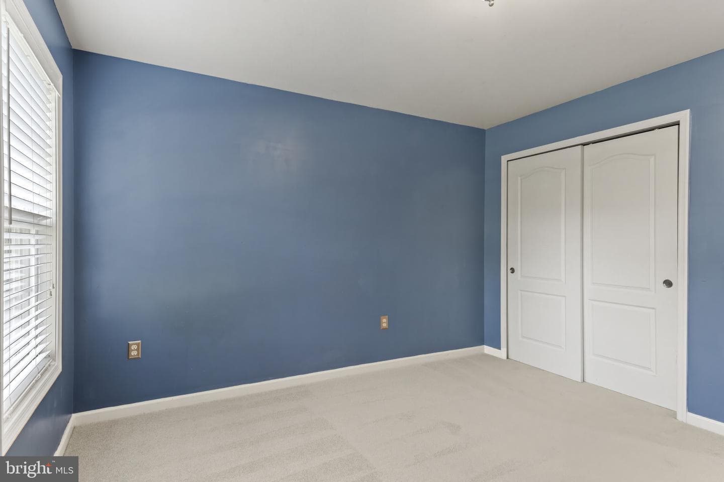 57 Boxwood Drive photo 30