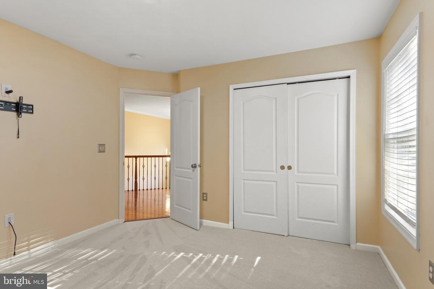 57 Boxwood Drive photo 32