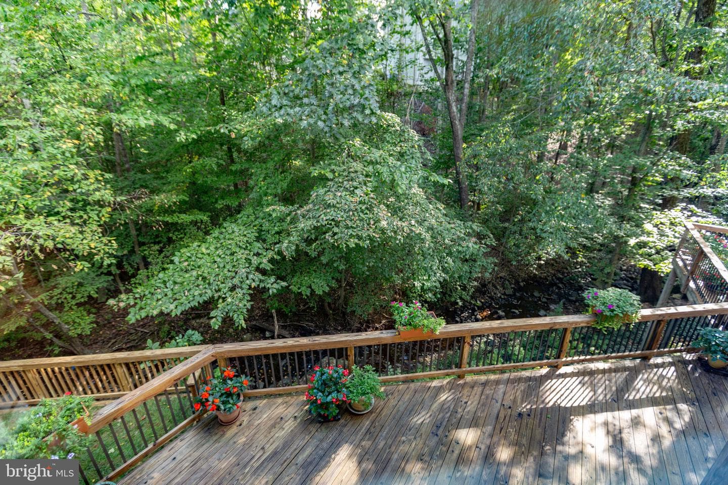7 Lee Court photo 48