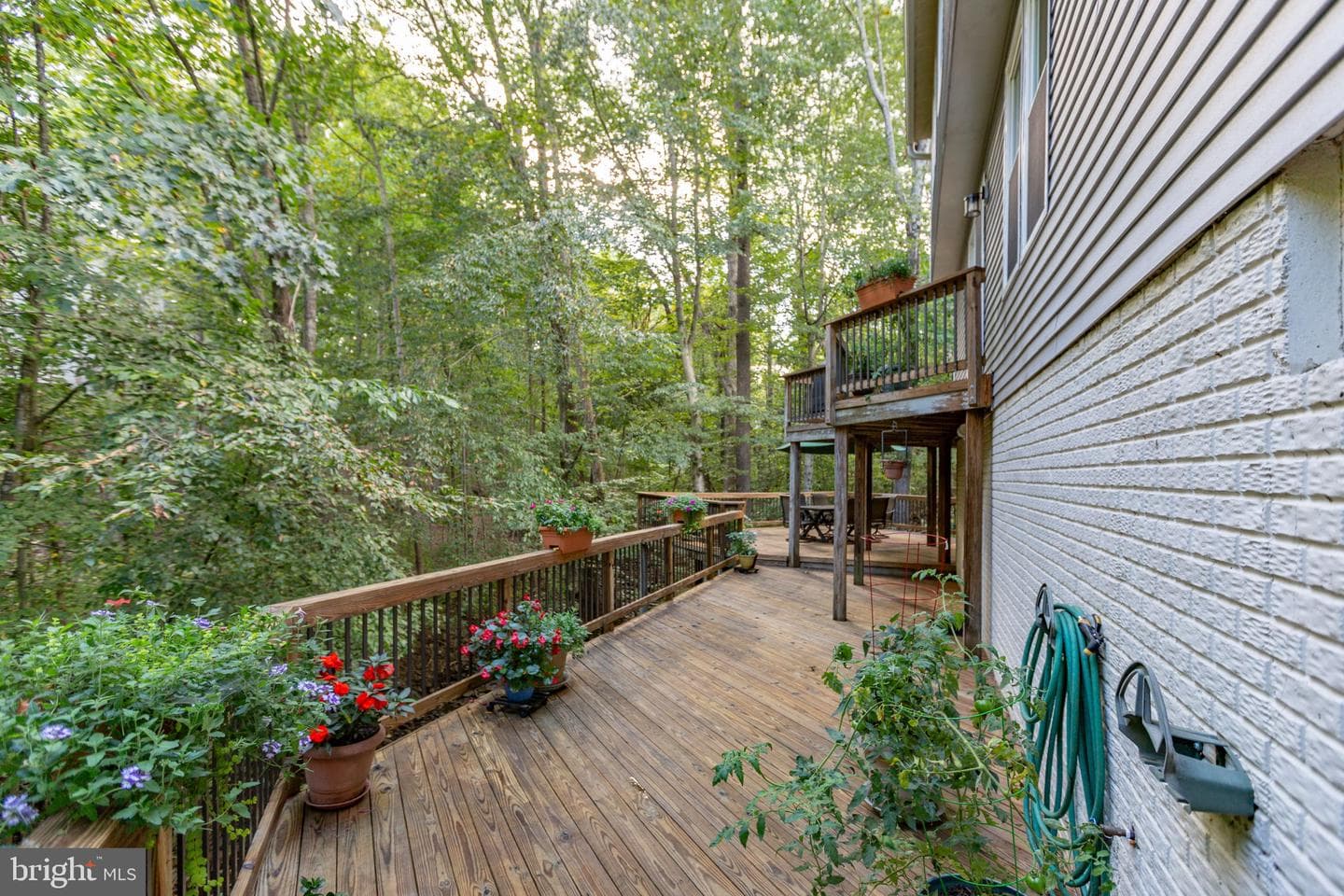 7 Lee Court photo 59