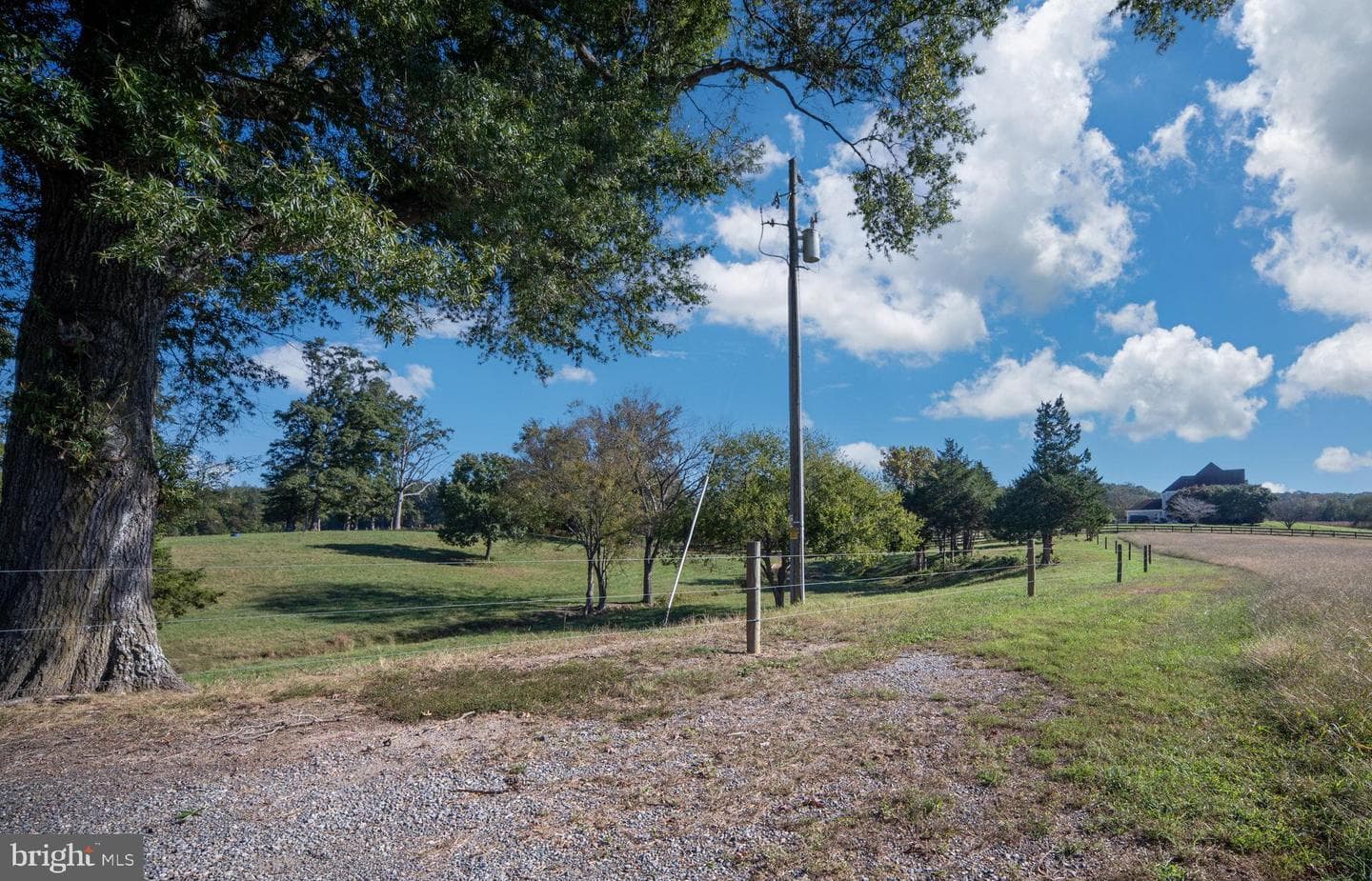 161 Forest Lane Road photo 67