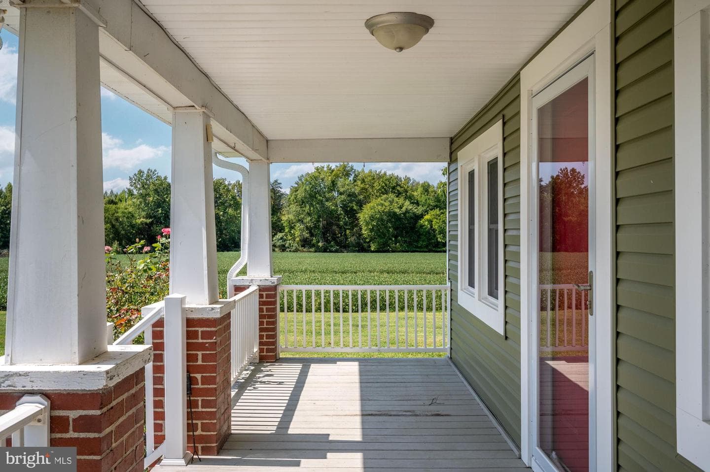 161 Forest Lane Road photo 9