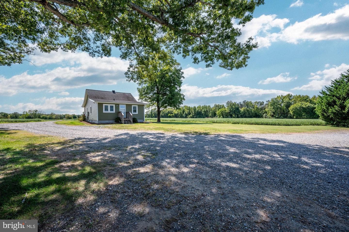 161 Forest Lane Road photo 98