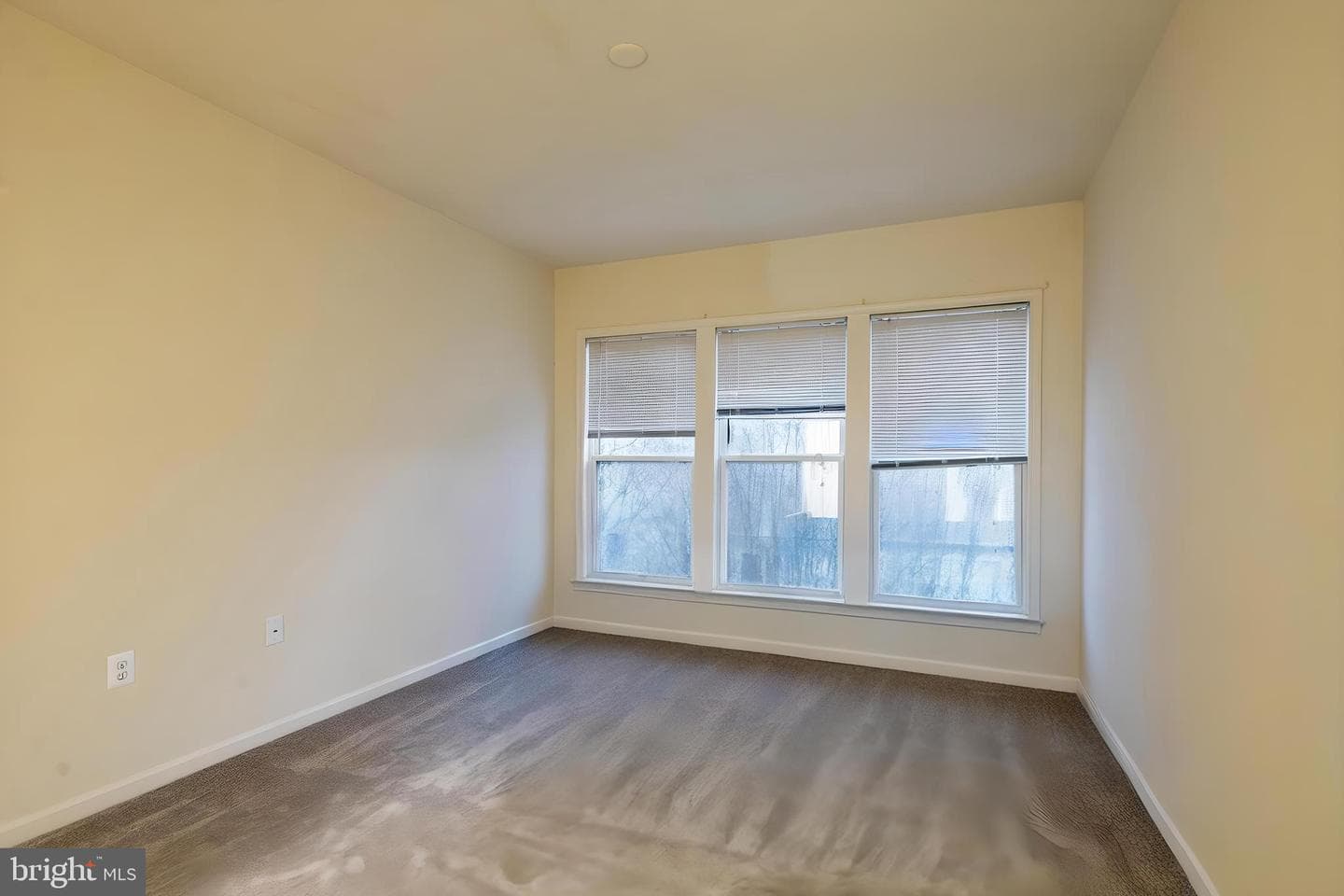 21 Buchanan Court photo 15
