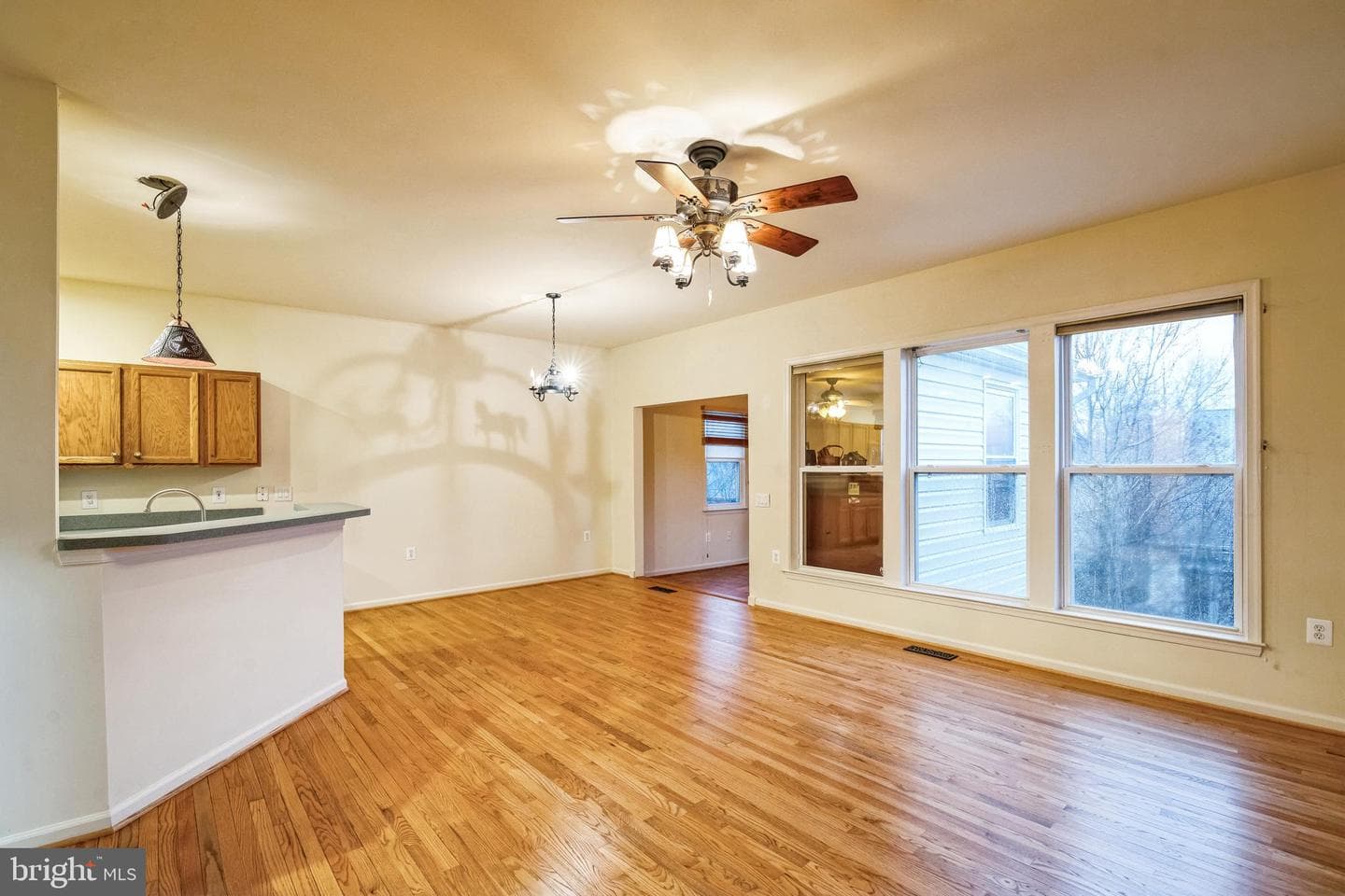 21 Buchanan Court photo 5