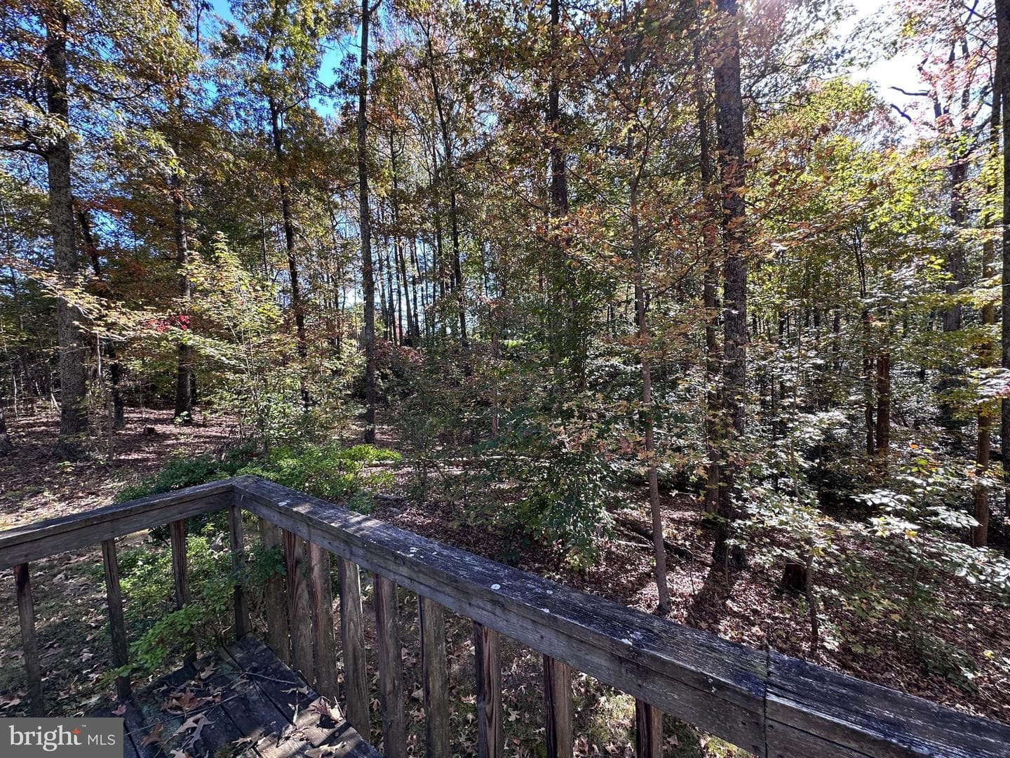 61 Aquia Creek Road photo 41