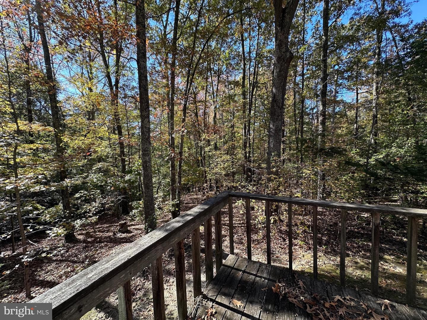 61 Aquia Creek Road photo 42