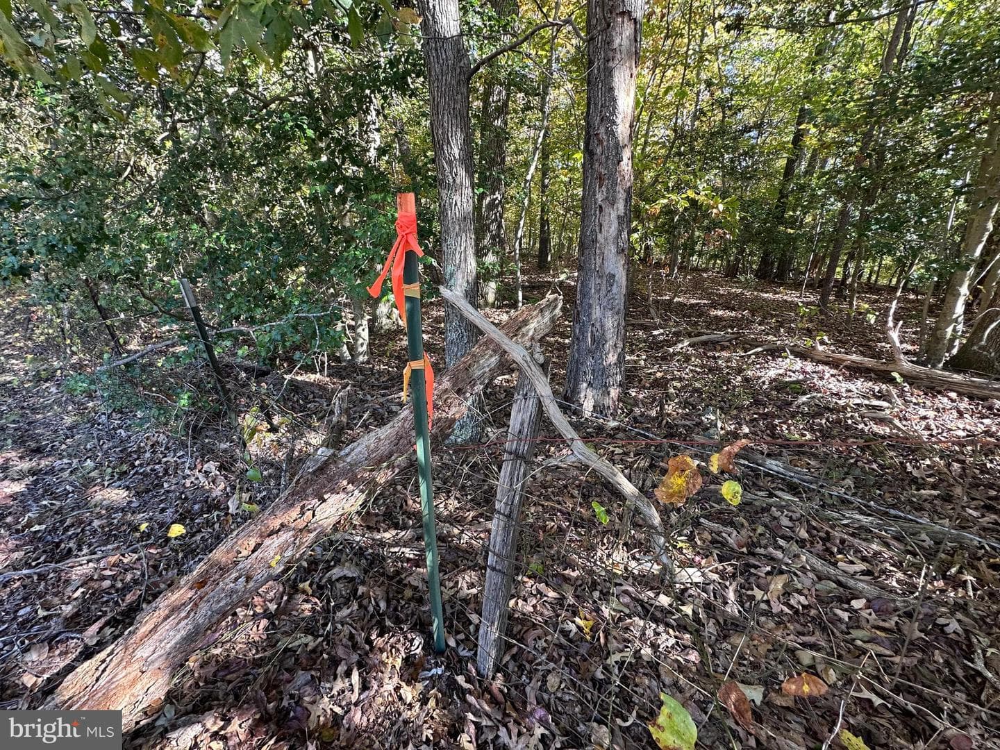 61 Aquia Creek Road photo 45