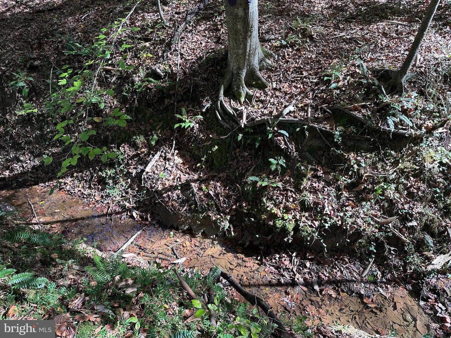 61 Aquia Creek Road photo 48