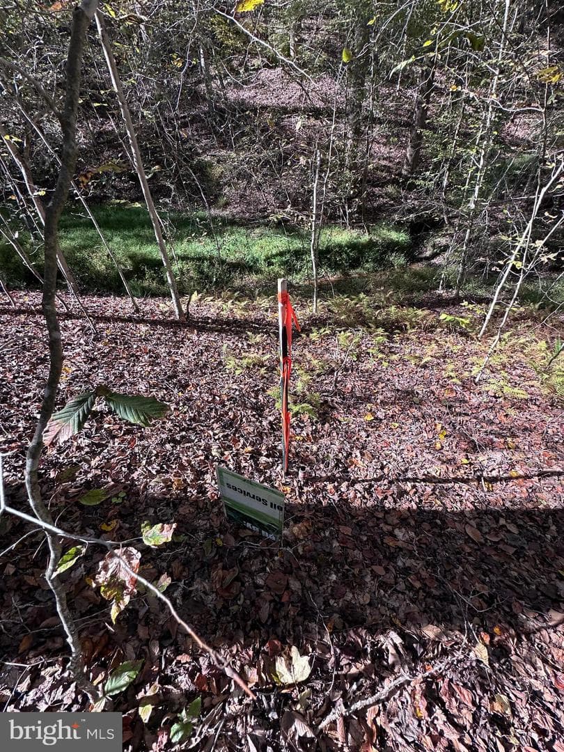 61 Aquia Creek Road photo 50