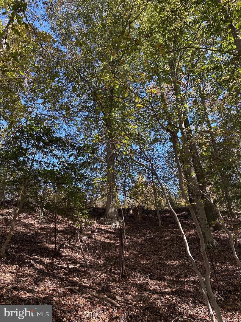 61 Aquia Creek Road photo 51