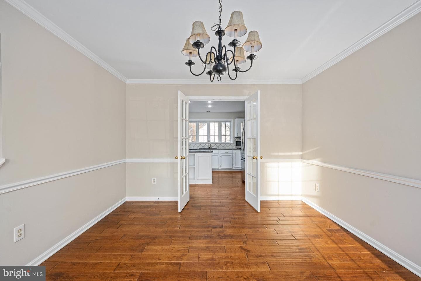 141 Northampton Boulevard photo 23