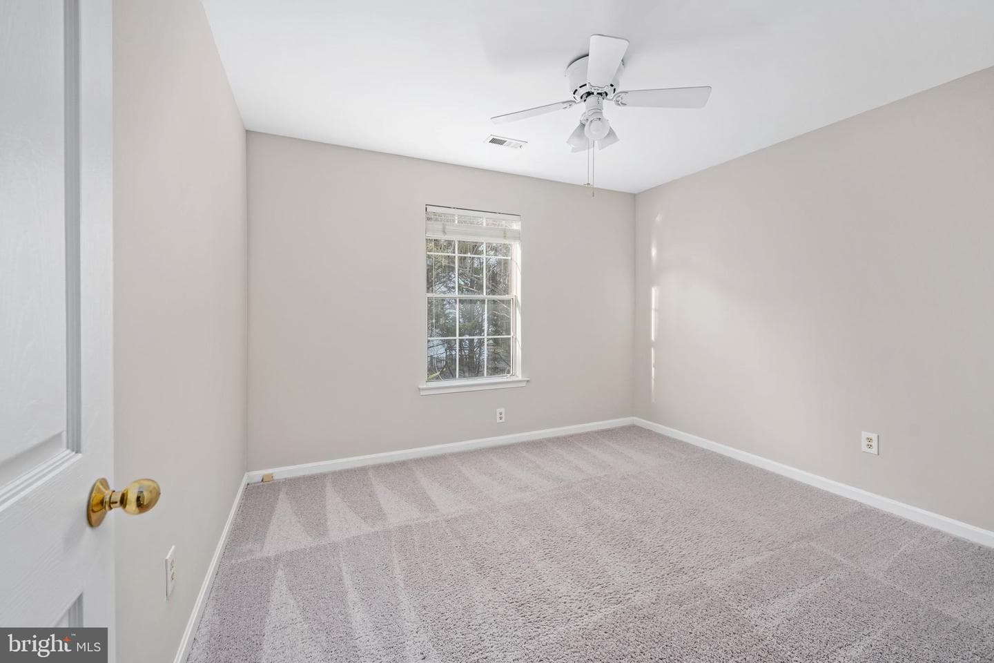 141 Northampton Boulevard photo 51