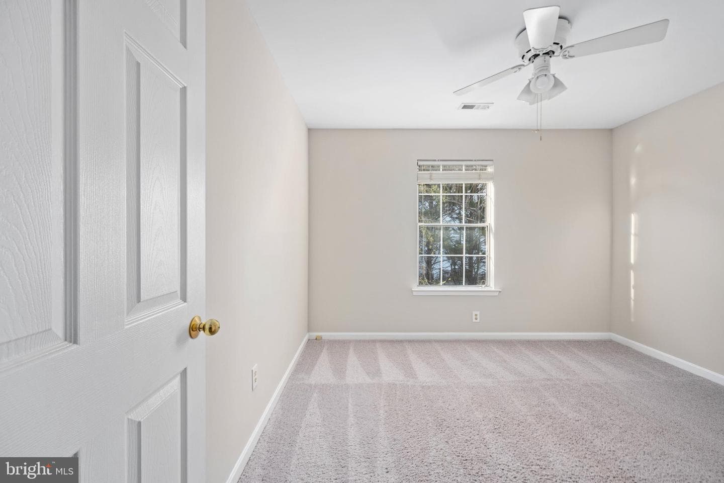 141 Northampton Boulevard photo 52