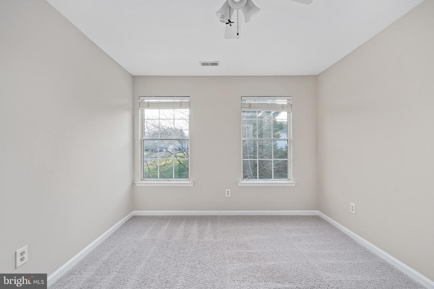 141 Northampton Boulevard photo 54