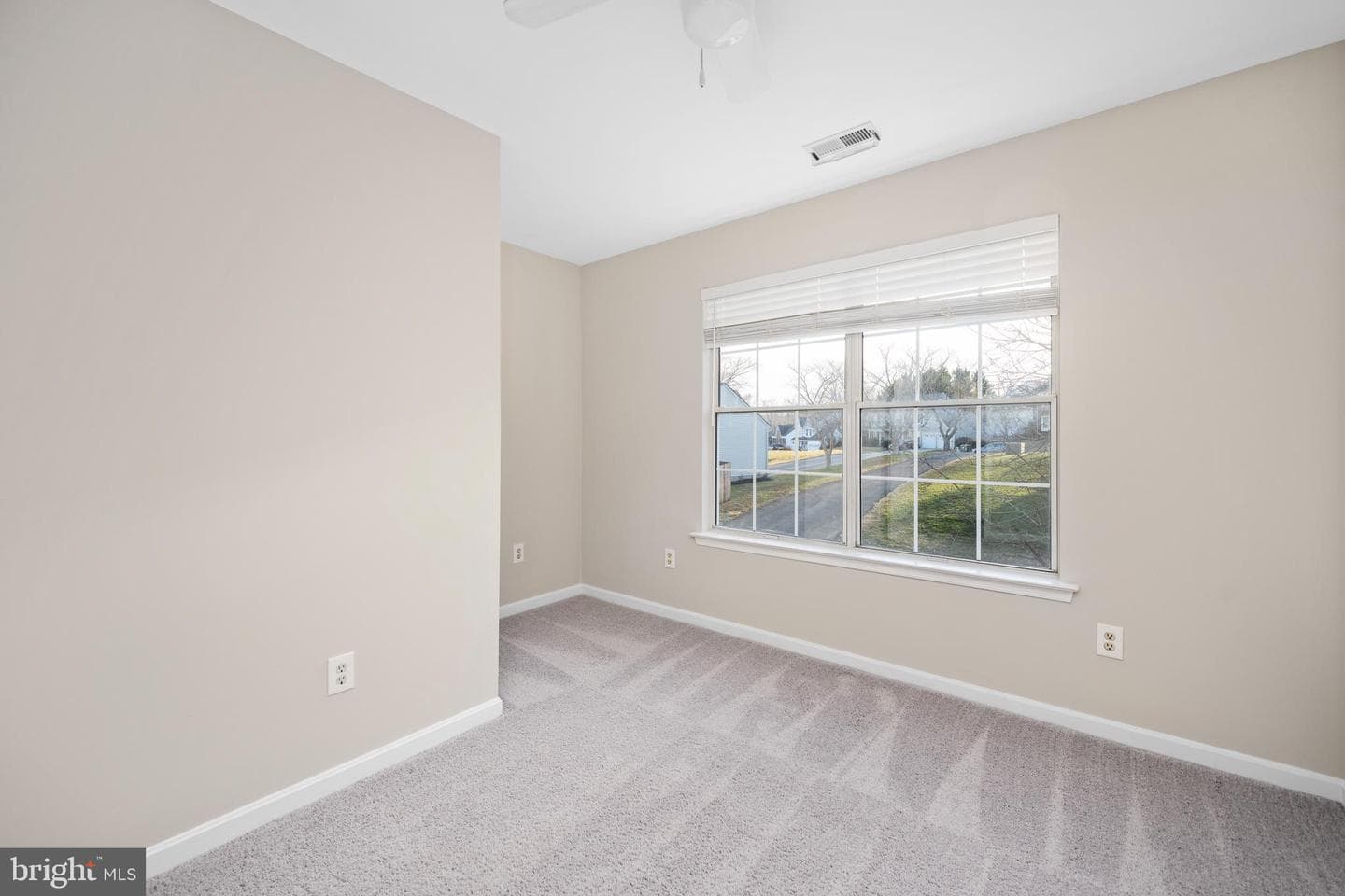 141 Northampton Boulevard photo 59