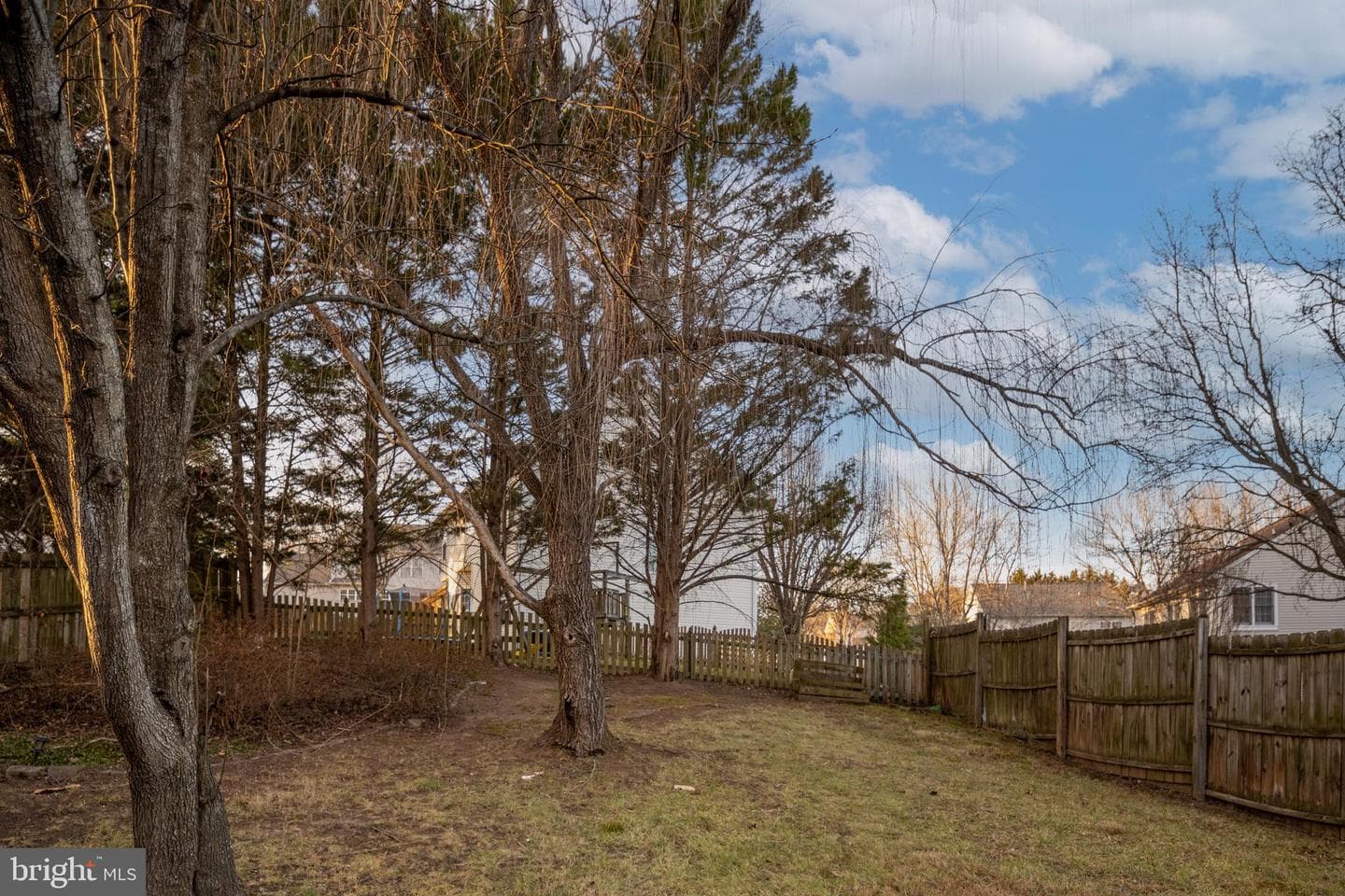 141 Northampton Boulevard photo 84
