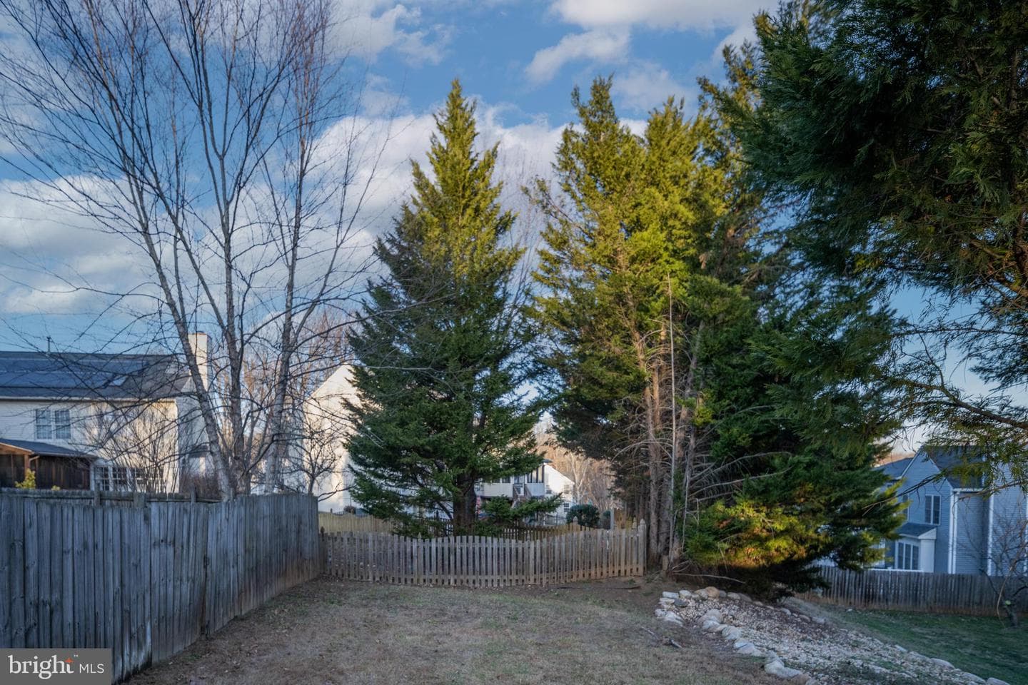141 Northampton Boulevard photo 90