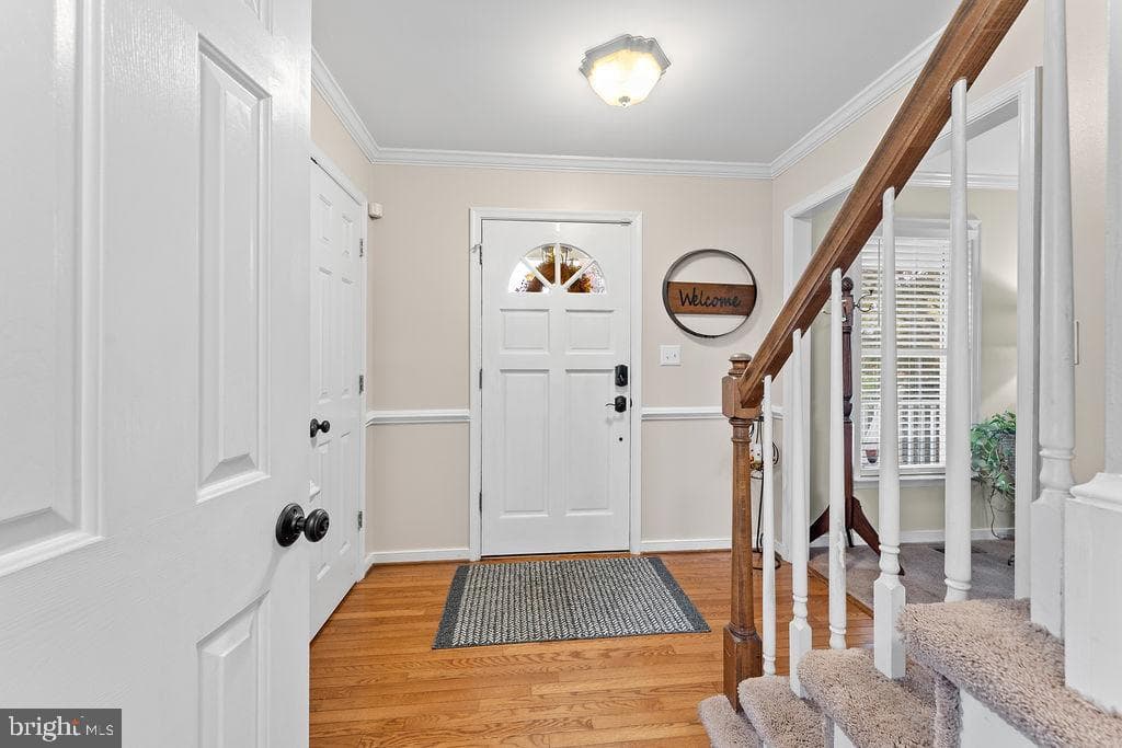 41 Dawson Drive photo 16