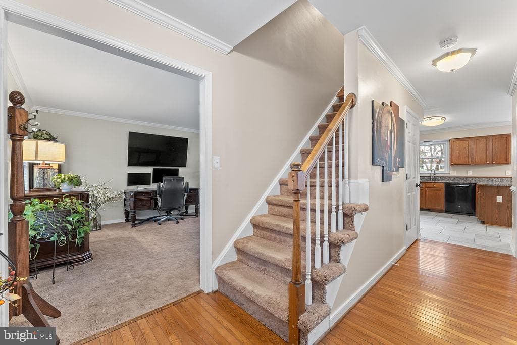 41 Dawson Drive photo 18