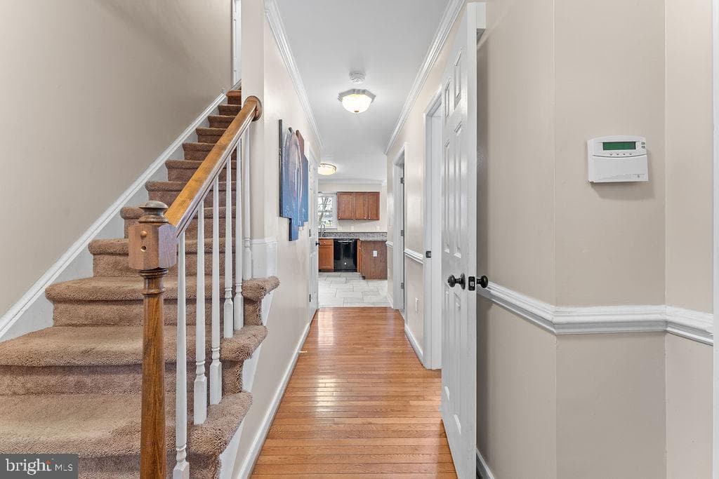41 Dawson Drive photo 19
