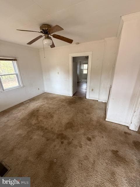 37 Ferry Road photo 3