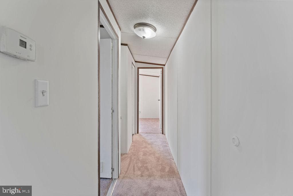 112 Cliff Circle photo 23