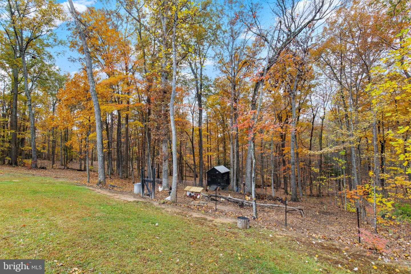 499 Poplar Road photo 40
