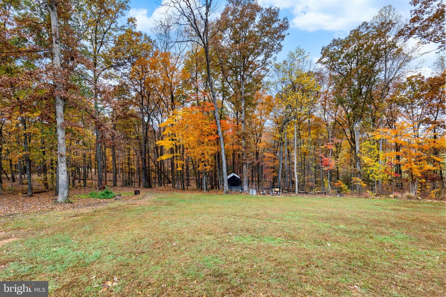 499 Poplar Road photo 41