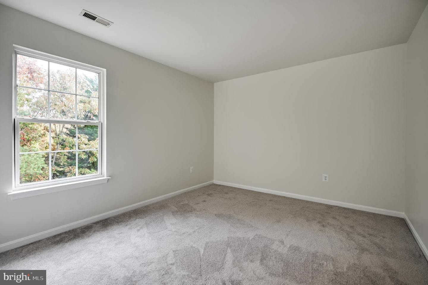 10 Ashley Court photo 22