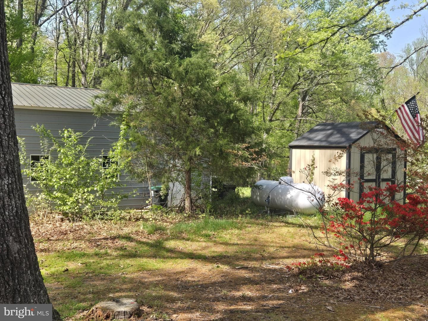 45 Moorwood Drive photo 19