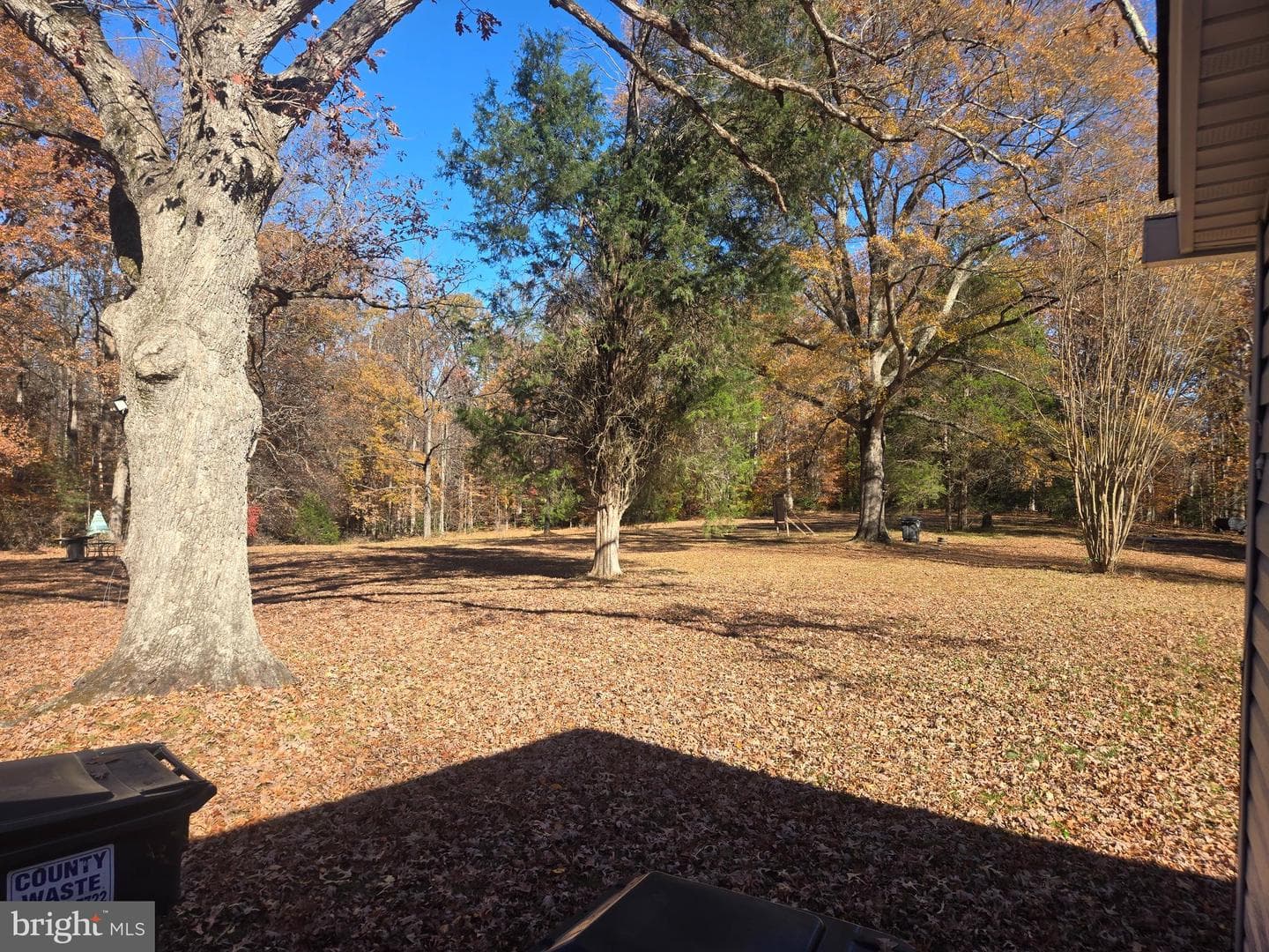 45 Moorwood Drive photo 2