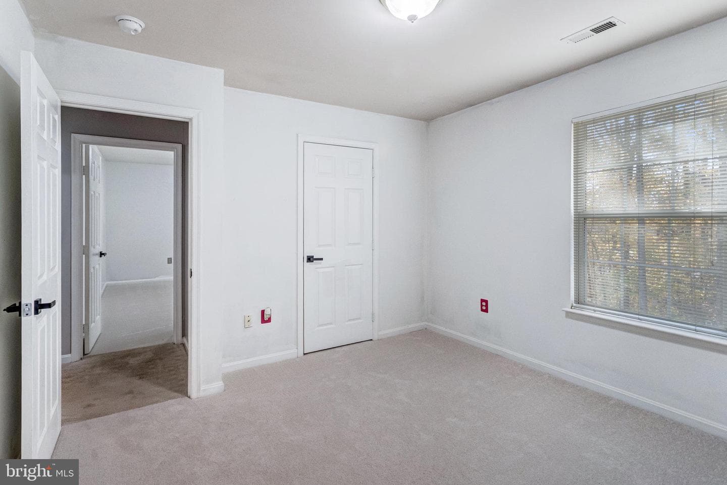 42 Catherine Lane photo 12