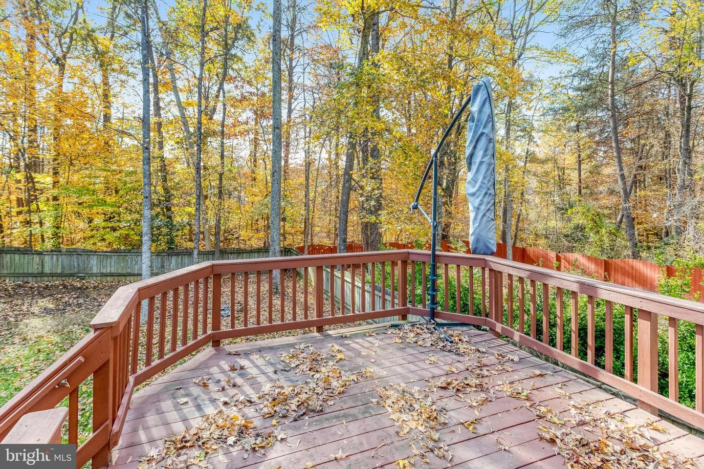 42 Catherine Lane photo 23