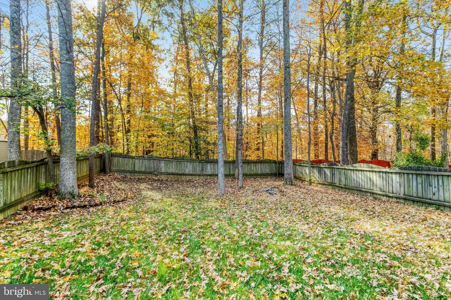 42 Catherine Lane photo 24