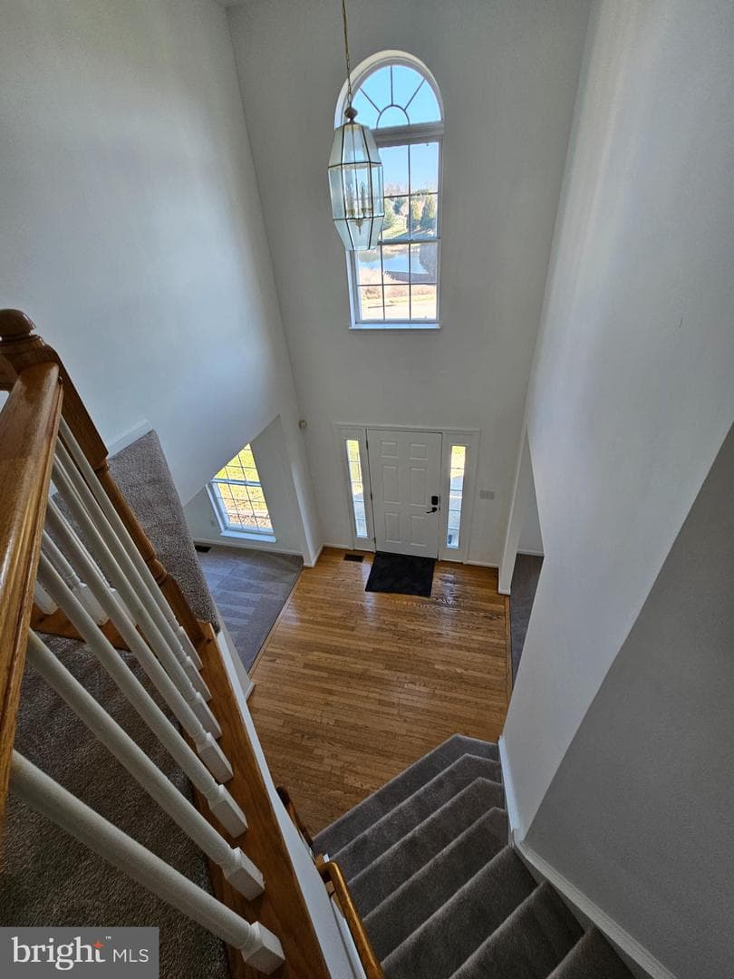 2 Grace Manor Court photo 25