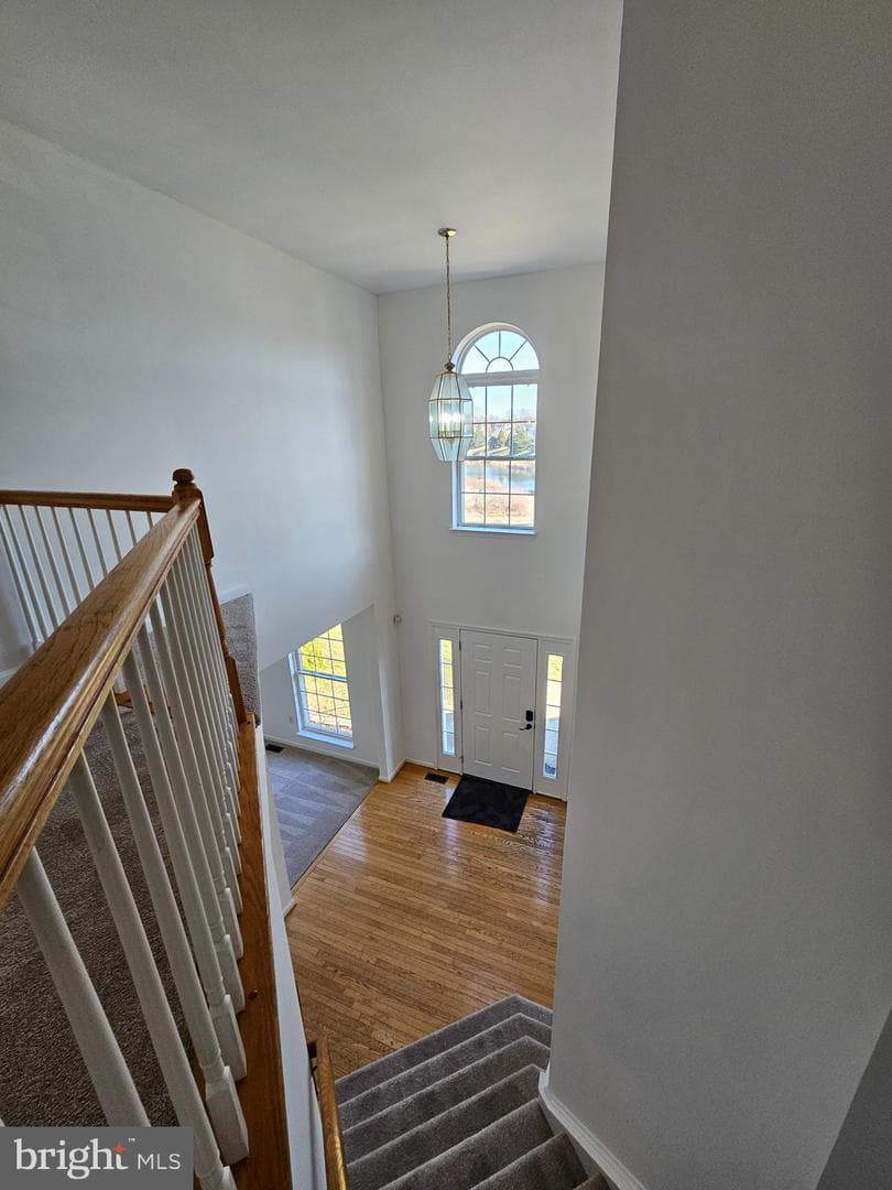 2 Grace Manor Court photo 27