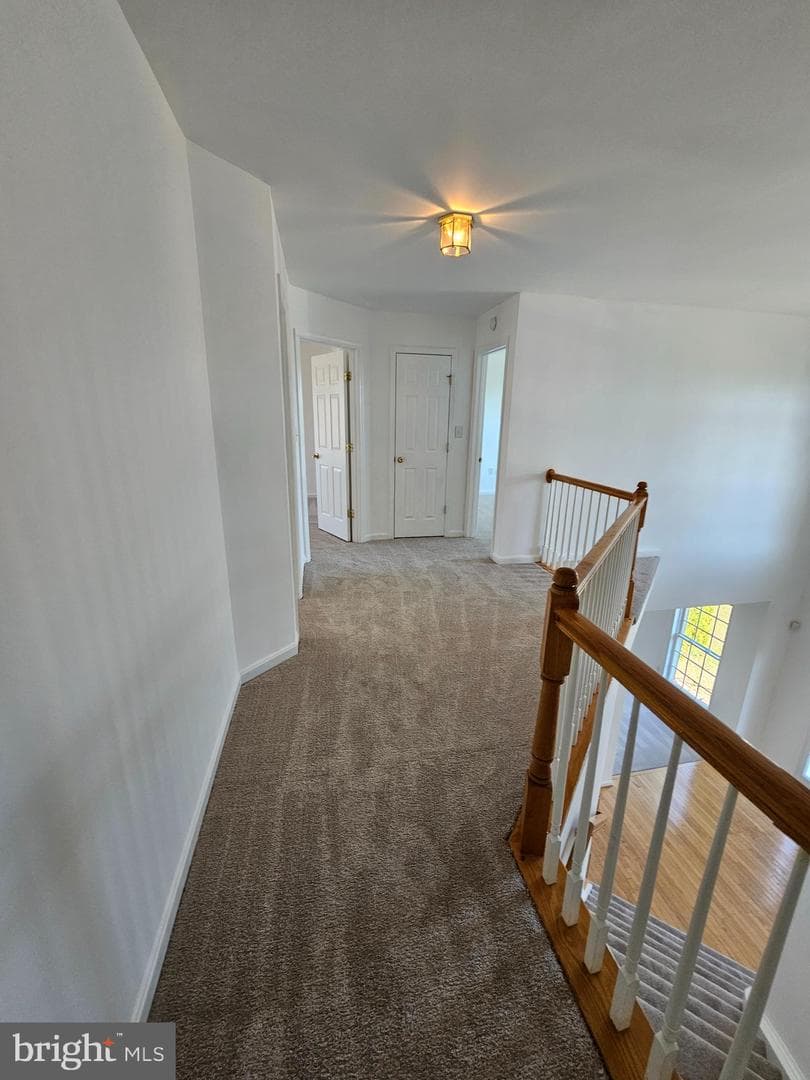 2 Grace Manor Court photo 28
