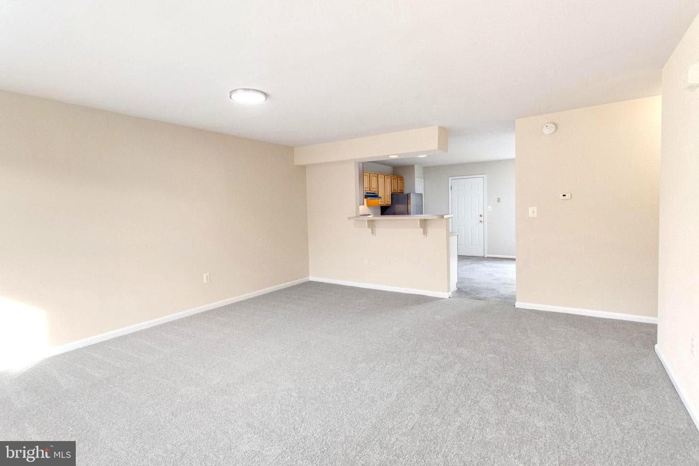 308 Independence Drive photo 11