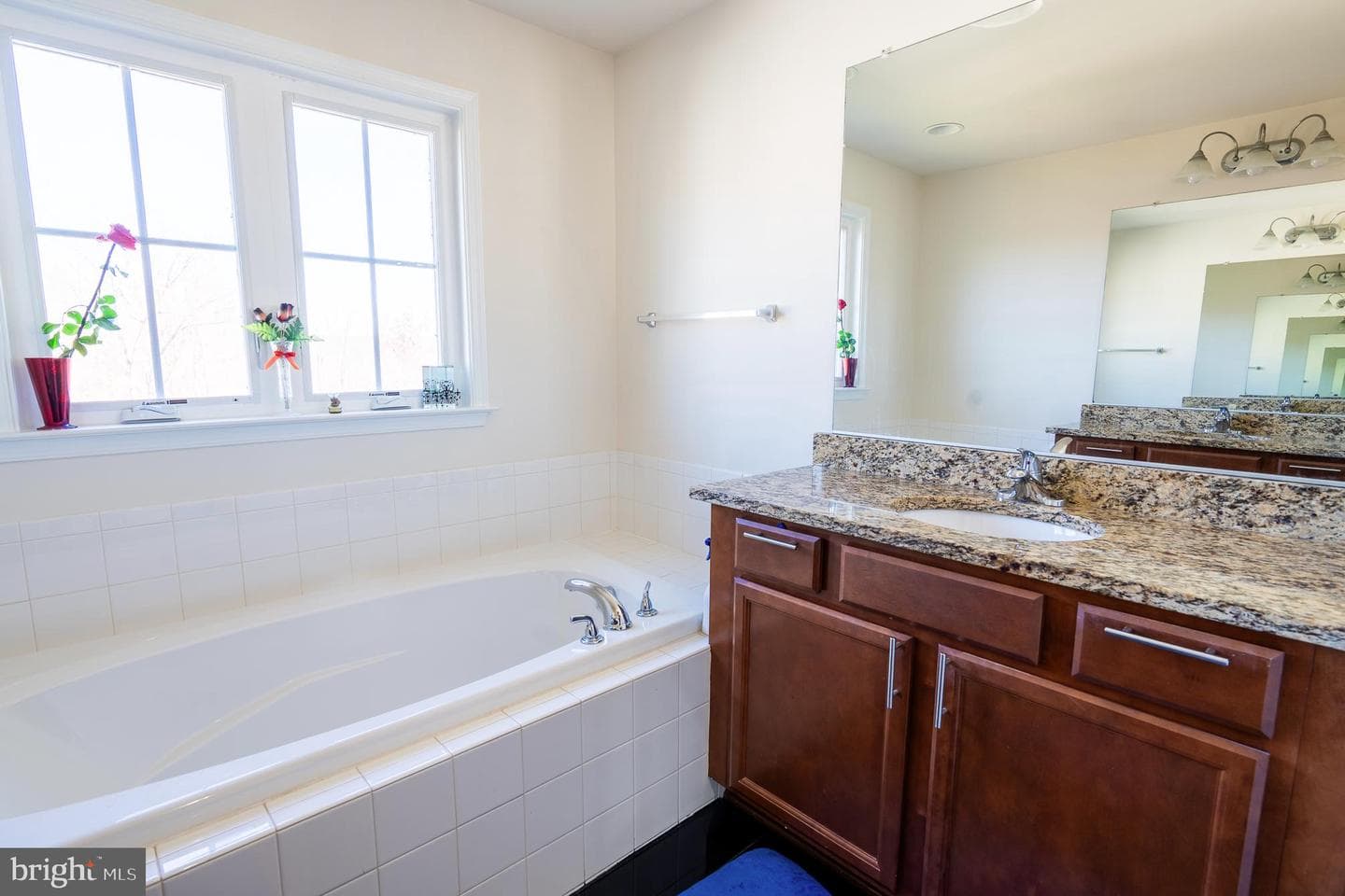 107 Hollister Lane photo 29