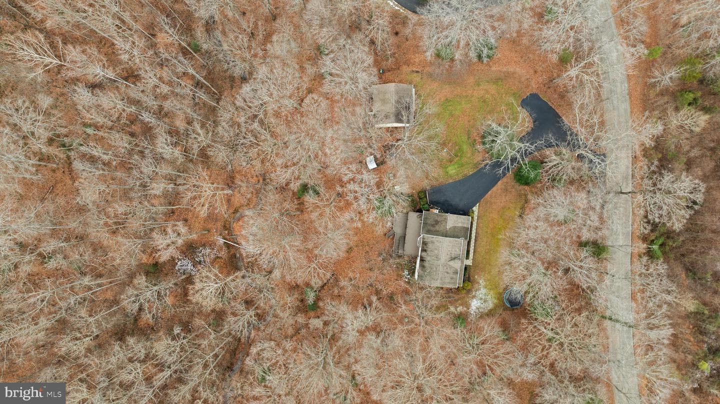325 Sandy Ridge Road photo 55