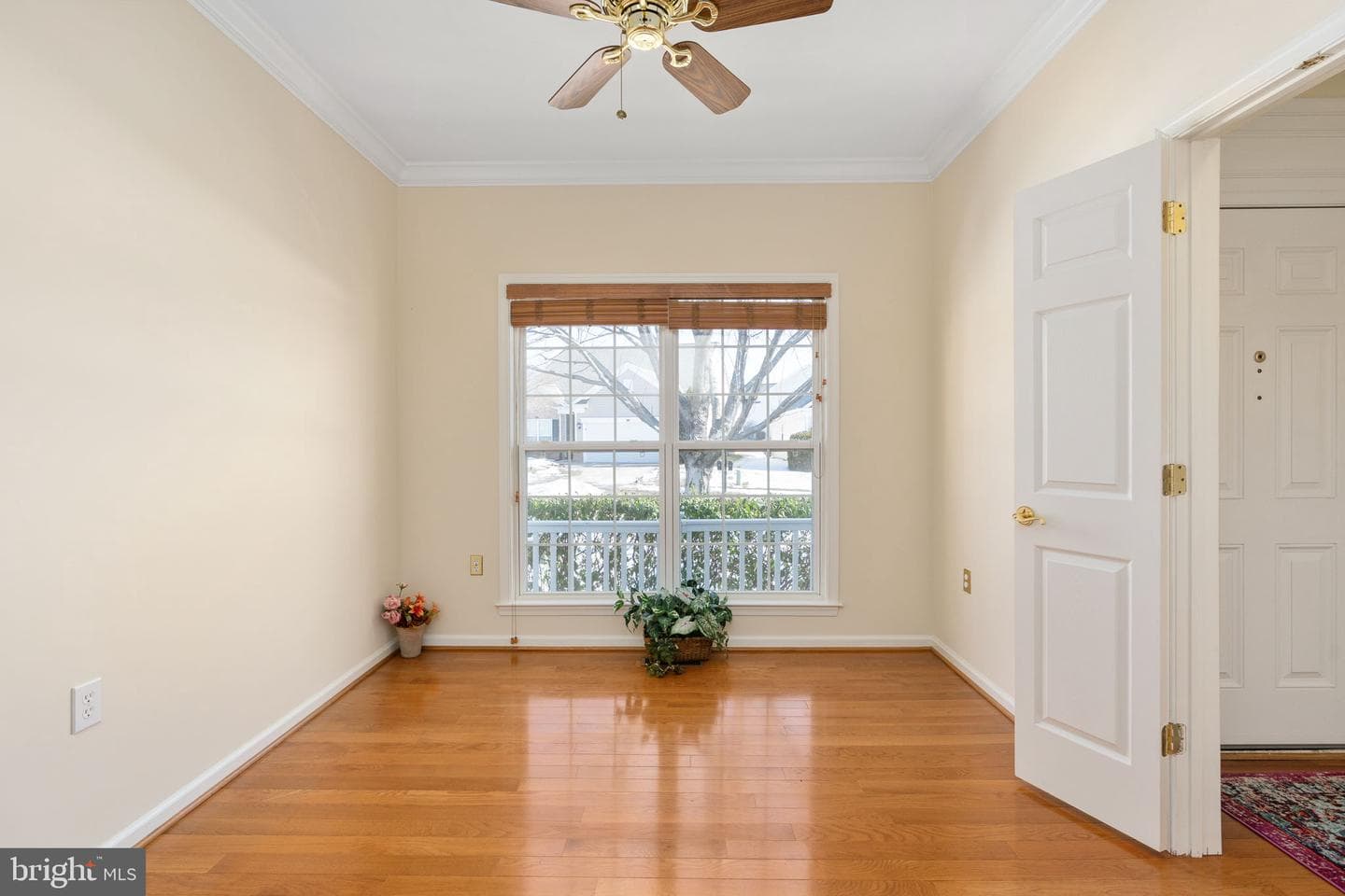 6 Buchanan Drive photo 11